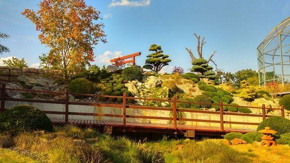 ZOO Hluboká nad Vltavou