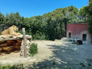 Parco Zoo Falconara Srl