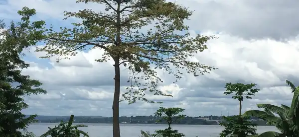 Hoteles en Lukunga