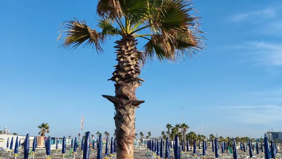 Bagni Nuova Marina Sirenella