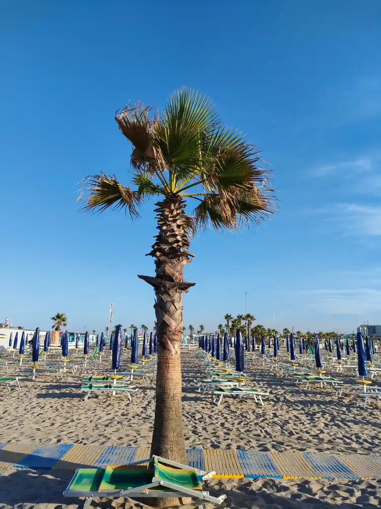 Sottomarina