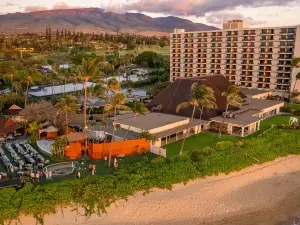 Popular Night Attractions in Maui