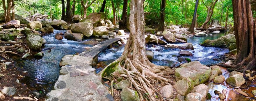 Jourama Falls