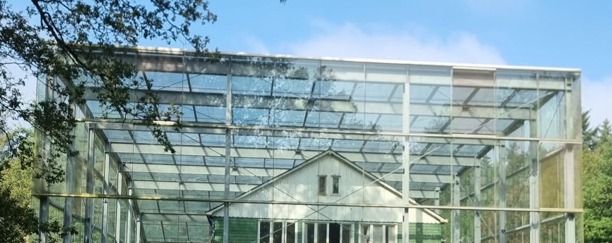 Kamp Westerbork