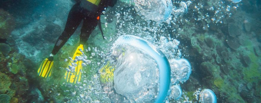 Odyssea Dive