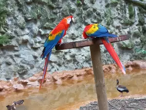 Zoologico de Cali