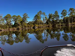 Airboat Adventures / Swampvette