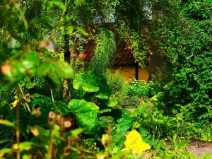 Hans Christian Andersen's Childhood Home