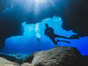 Big Island Divers
