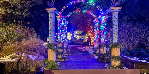 Evergreen Arboretum & Gardens