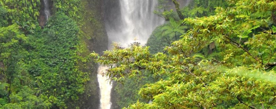 Papapapaitai Falls