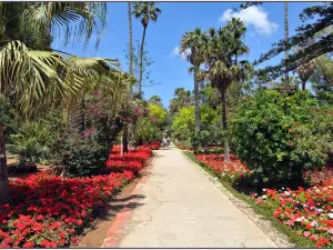 San Anton Gardens