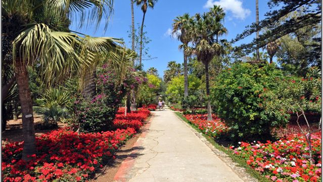 San Anton Gardens