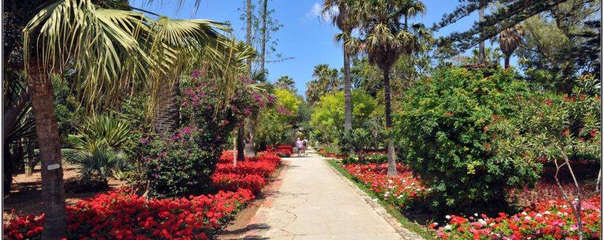 San Anton Gardens
