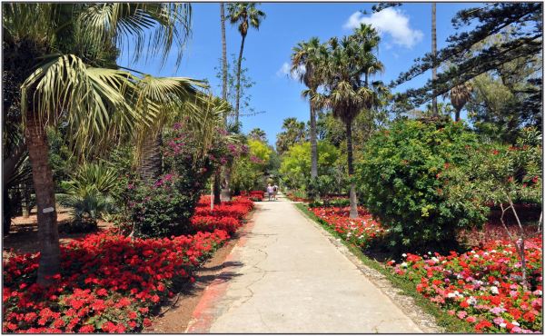 San Anton Gardens