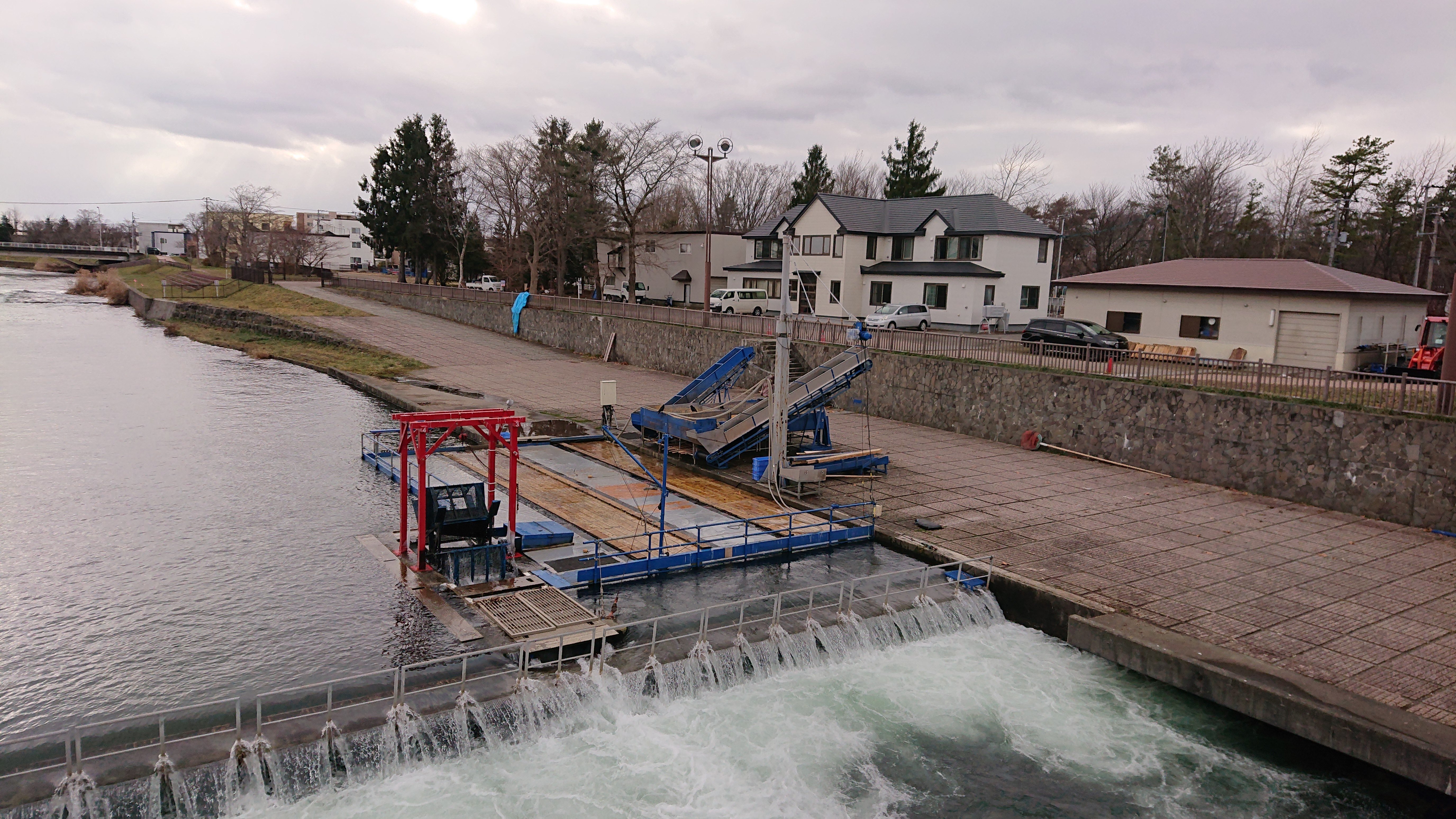 Chitose Salmon Aquarium Admission E-Ticket
