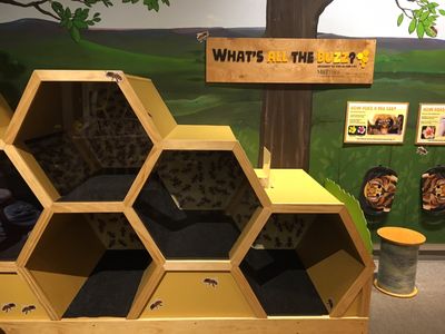 Hands-on House, Children's Museum of Lancaster