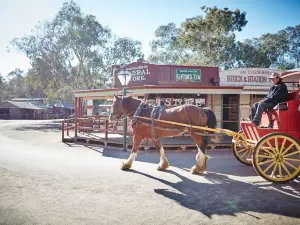 Pioneer Settlement & Heartbeat Of The Murray Laser Spectacular