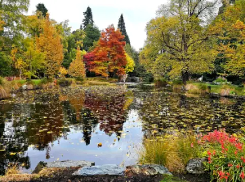Queenstown Gardens