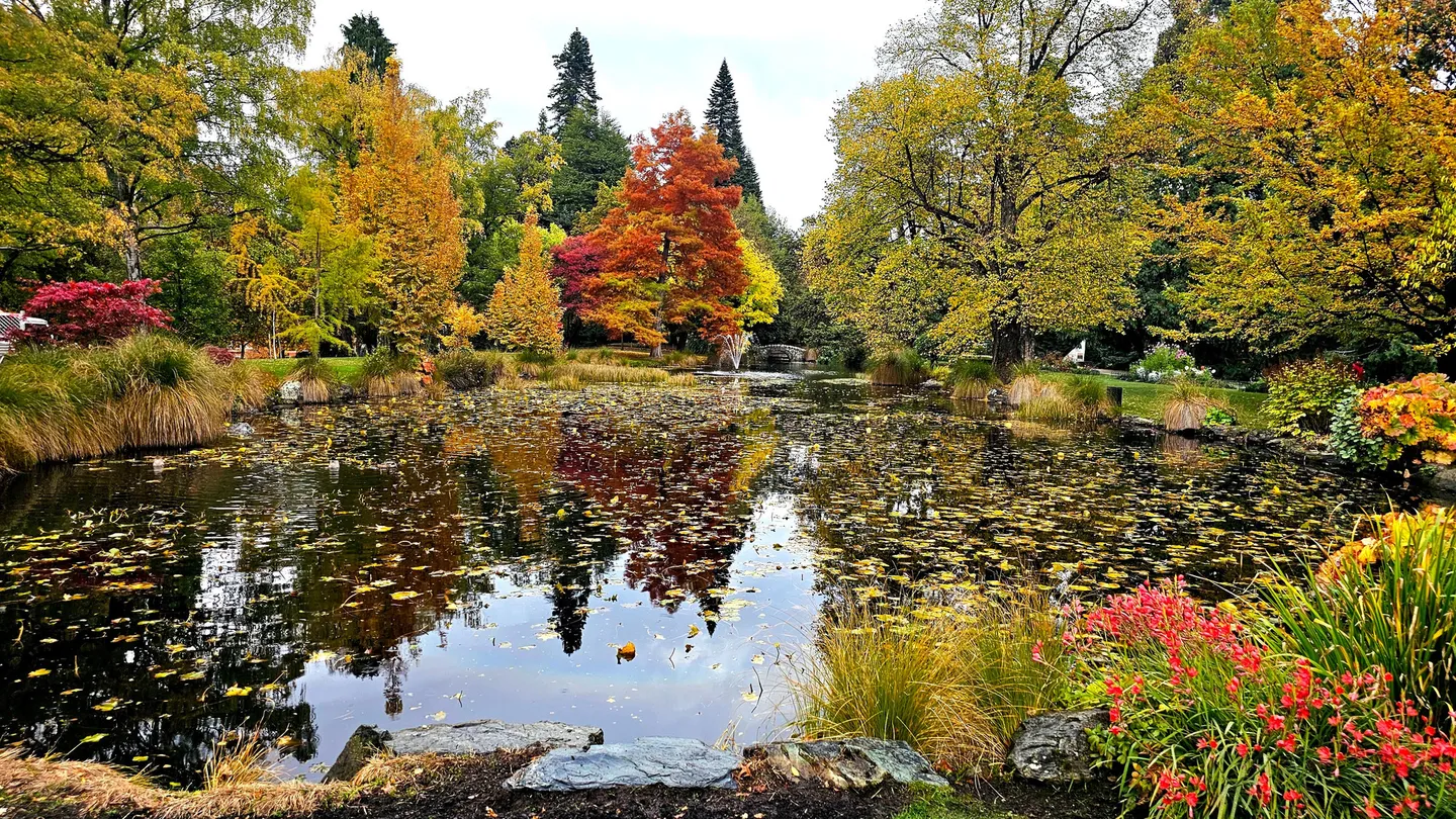 2_Queenstown Gardens