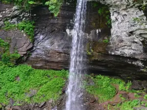 Falls of Hills Creek