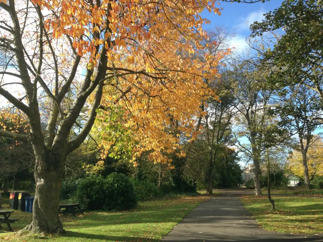 Hotels near Leazes Park