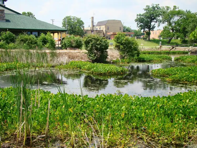 Hotels in Bemidji Township