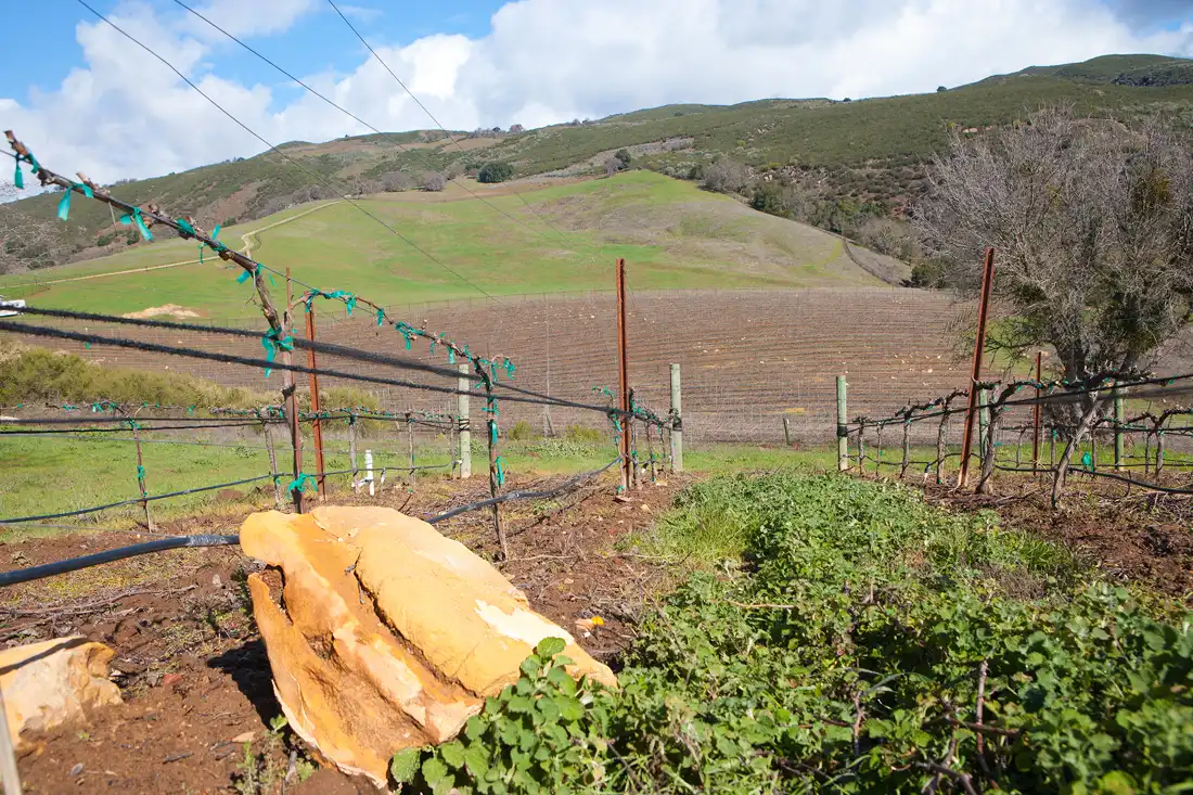 Hotels near Chock Rock Vineyard & Tasting Room