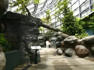 World Freshwater Aquarium Aqua Totto Gifu