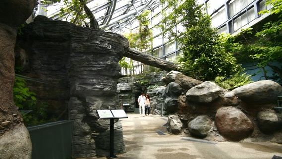World Freshwater Aquarium Aqua Totto Gifu