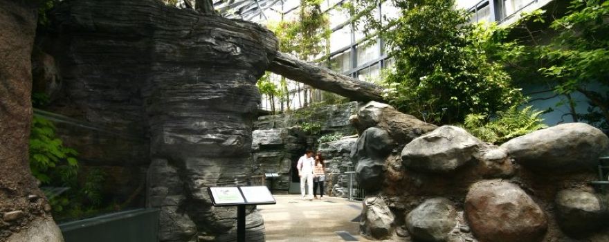 World Freshwater Aquarium Aqua Totto Gifu