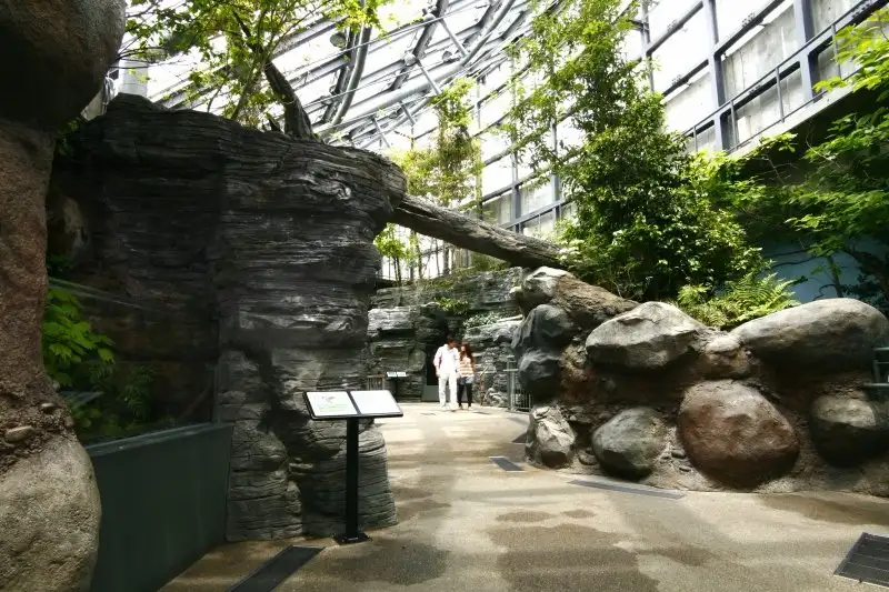 1_World Freshwater Aquarium Aqua Totto Gifu