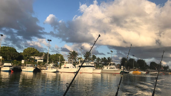 Wahoo Fishing Charters