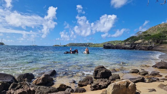 Spring Hill Riding Club