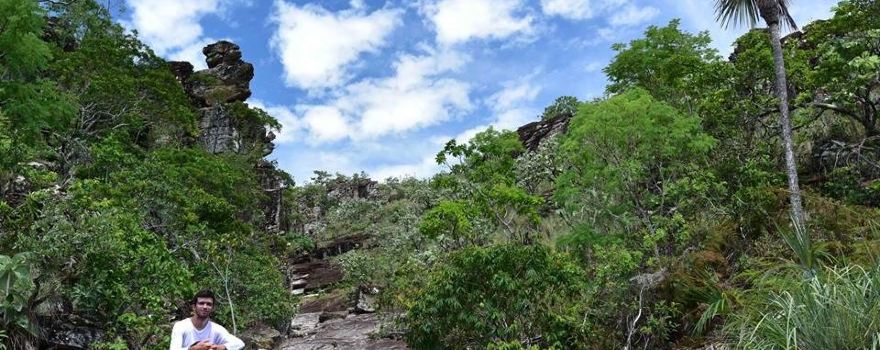 Serra Dourada State Park