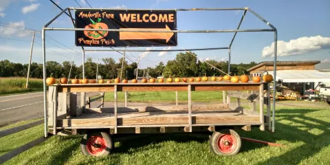 Meadeville Farm Pumpkin Patch
