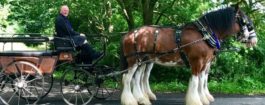 Blackstone Clydesdales & DIG-a-Day Experience