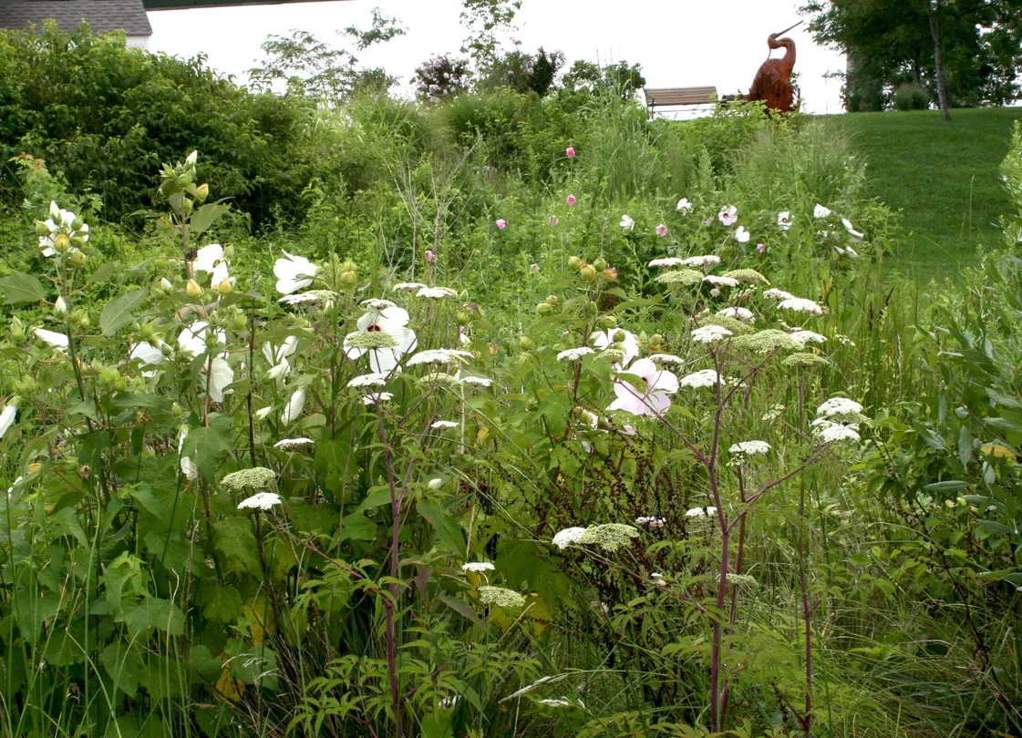 5_Jonas and Anne Catharine Green Park