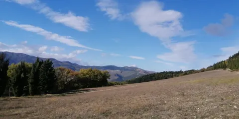 Centro Visita del Lupo