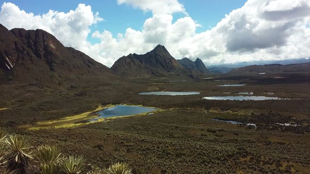 Natural Sumapaz National Park
