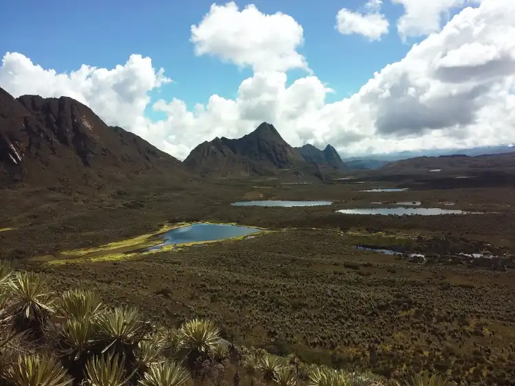 Guamaral