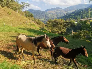 Sierra de Montsant Natural Park