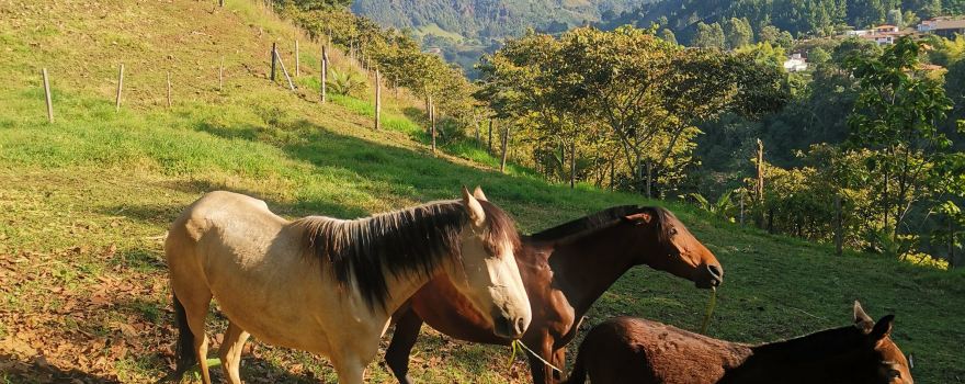 Sierra de Montsant Natural Park