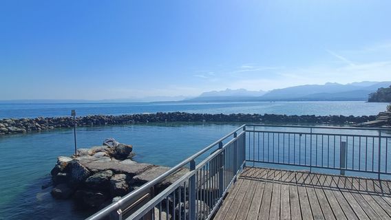 La Chataigniere - Domaine de Rovoree, Yvoire