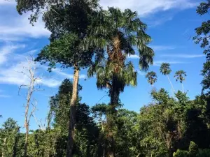Balikpapan Botanical Gardens