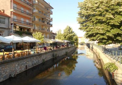 Florina