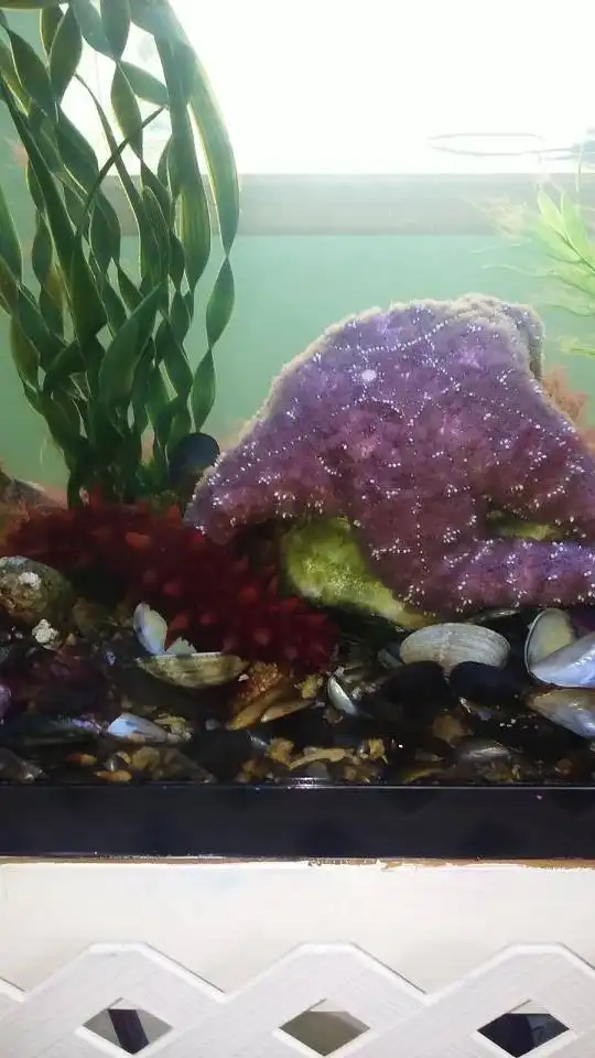 Hotels near Puget Sound Estuarium