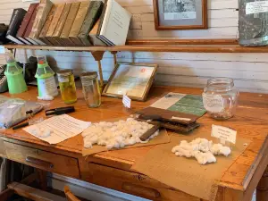 Cotton Museum