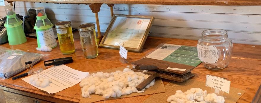 Cotton Museum