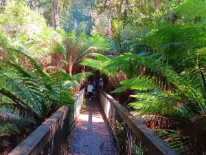 Melba Gully (Parks Victoria)